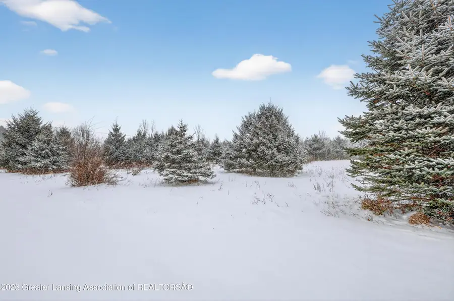 0 E Bellevue Road, Olivet, MI 49076 - Image #2