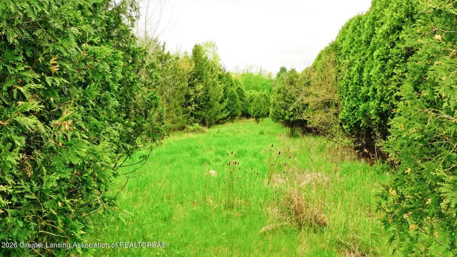 0 Hartel, Potterville, MI 48876 - Image #2