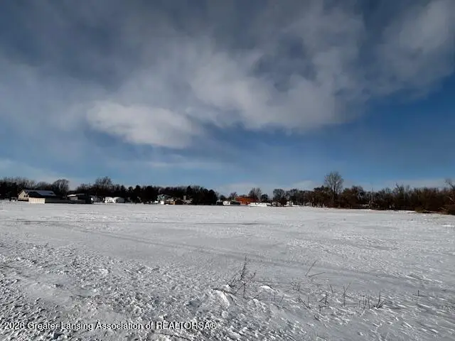 0 S Sterling Street, Ashley, MI 48806 - #1