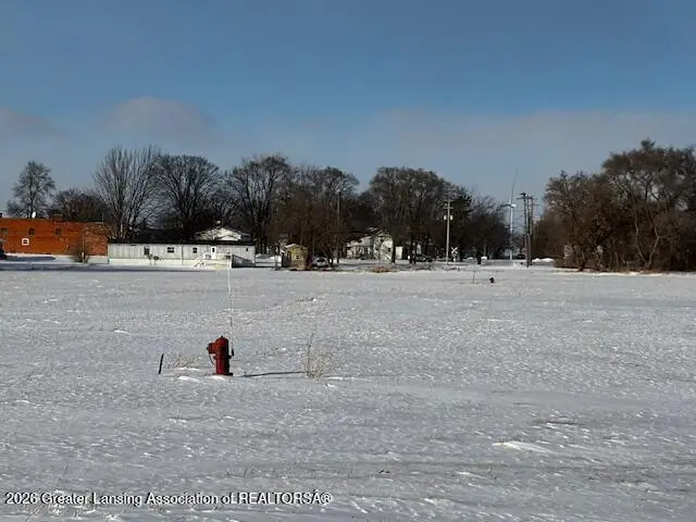 0 S Sterling Street, Ashley, MI 48806 - #3