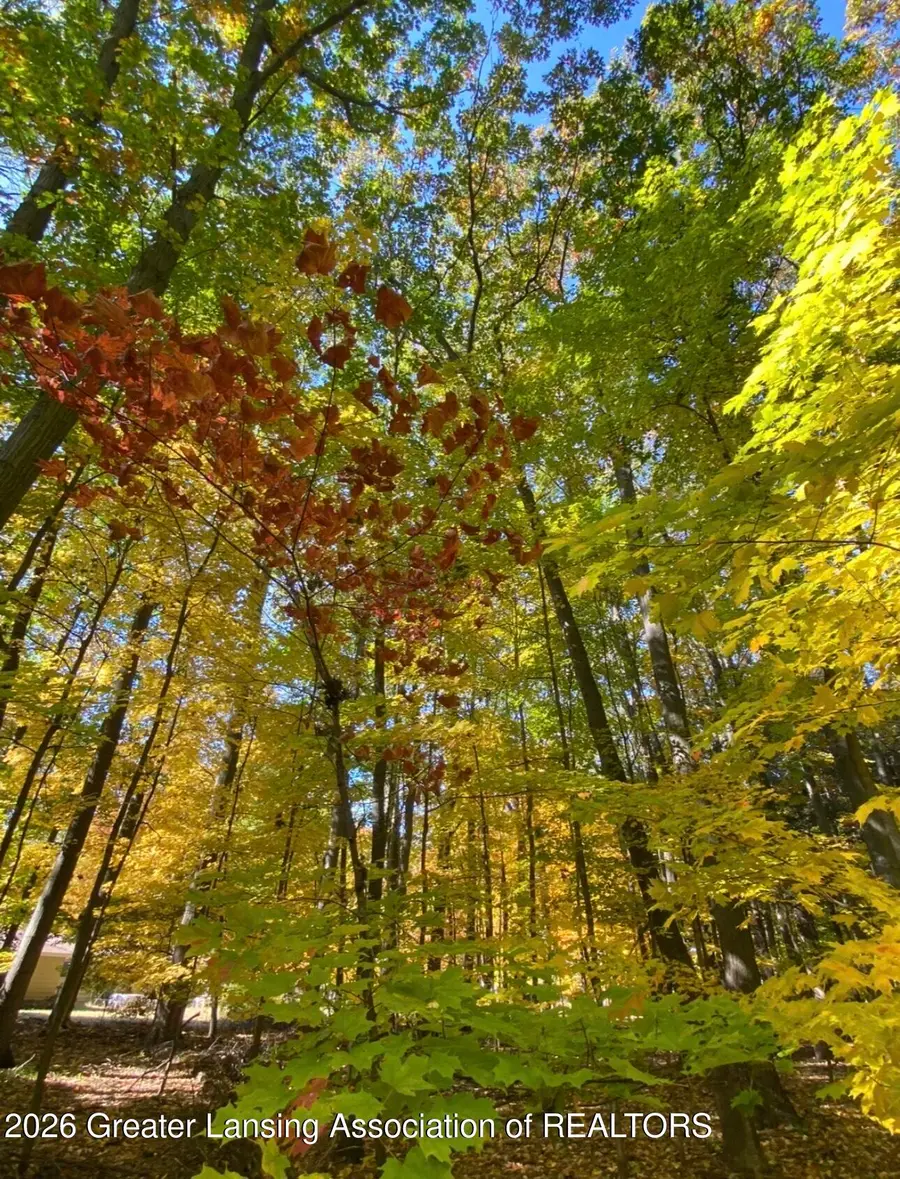 0 Chicago Avenue, Holland, MI 49424 - Image #3