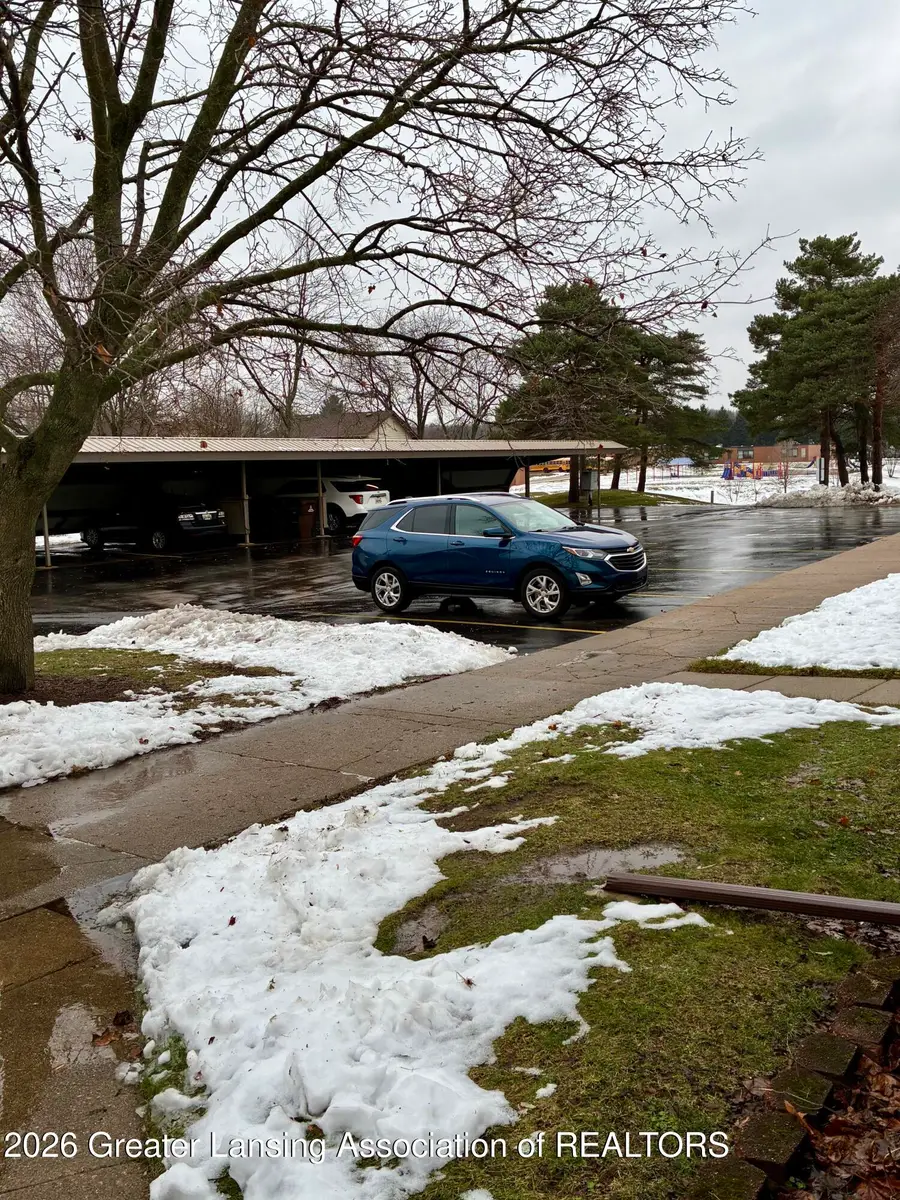 513 N Scott Street, Dewitt, MI 48820 - #2