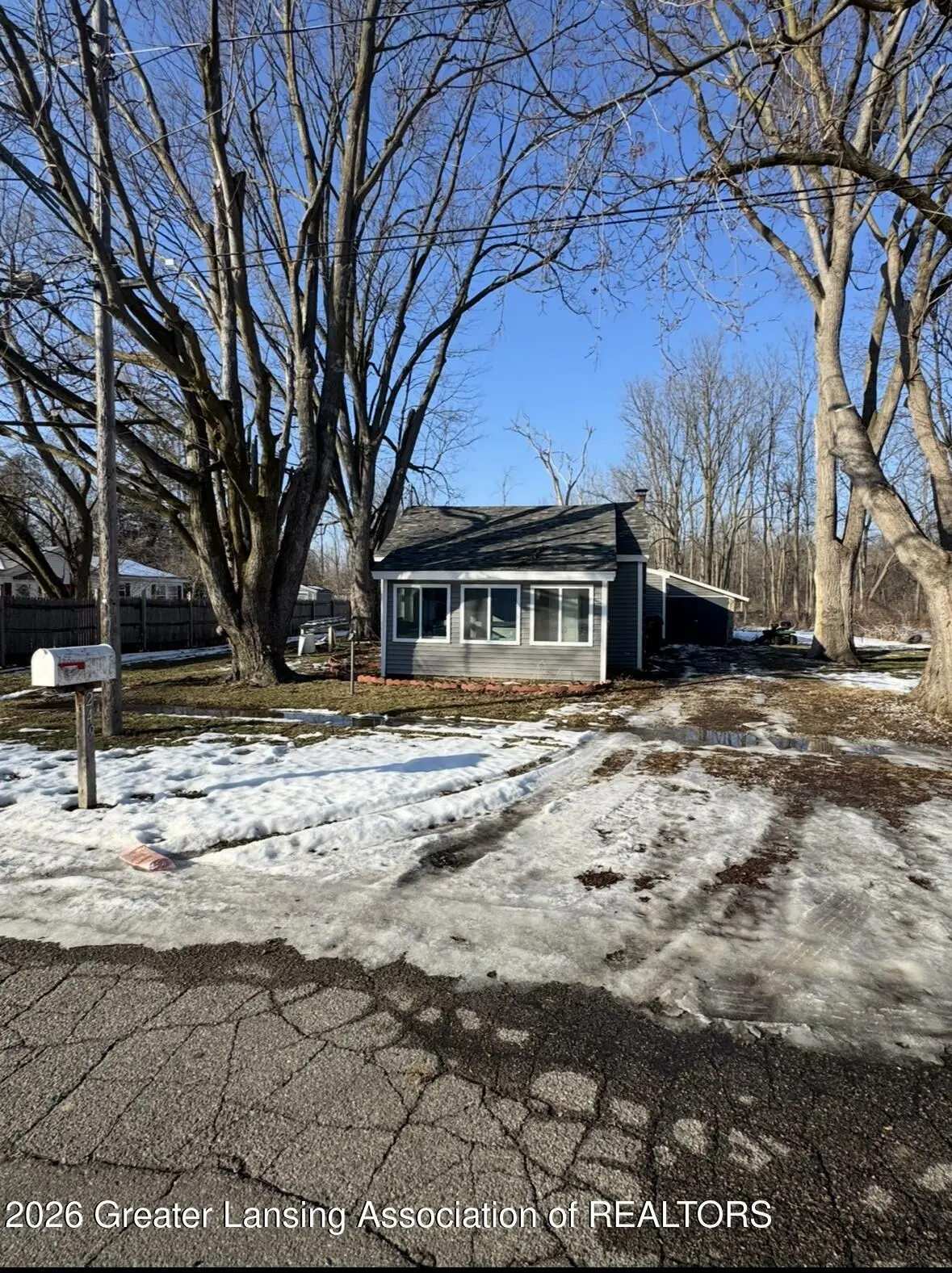 249 E Elm Street, Elsie, MI 48831 - #1