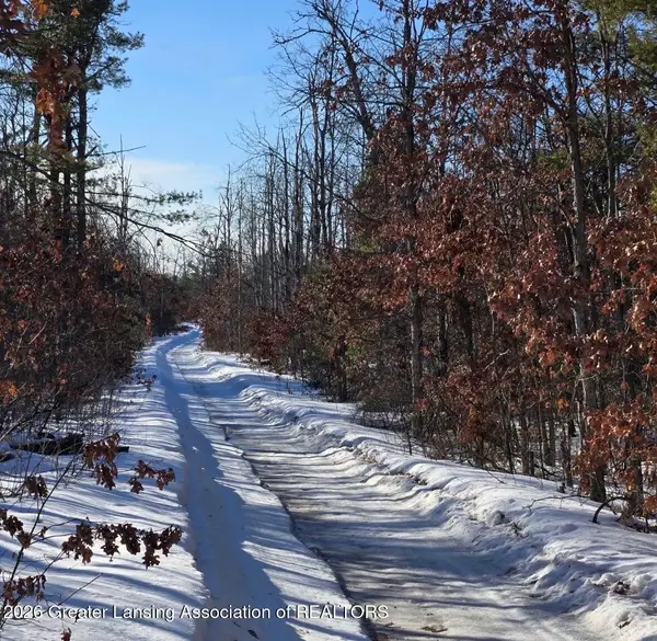 3668 Clinton Drive, Lewiston, MI 49756