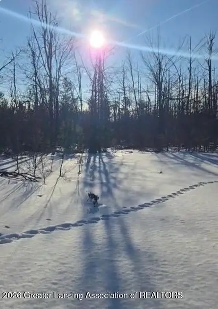 3668 Clinton Drive, Lewiston, MI 49756 - #3