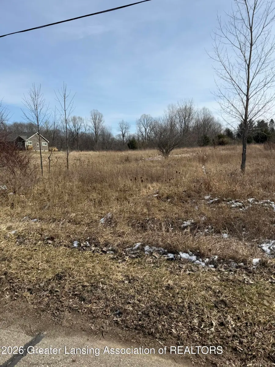 16831 Steiner Way, Lansing, MI 48906 - #3