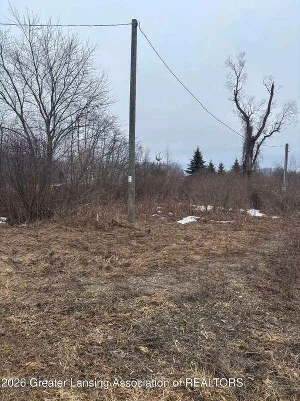 20003 Bullhead Lake Drive, Evart, MI 49631