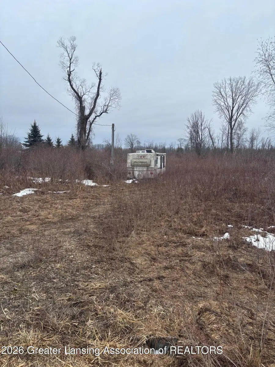 20003 Bullhead Lake Drive, Evart, MI 49631 - #3