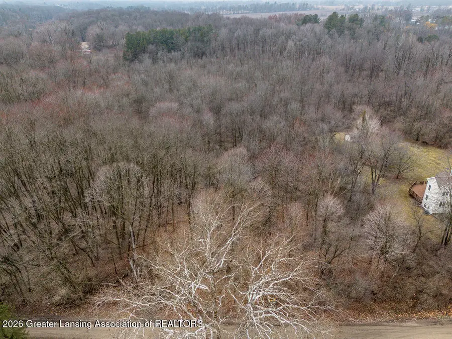 Parcel B Bailey Road, Dimondale, MI 48821 - #2