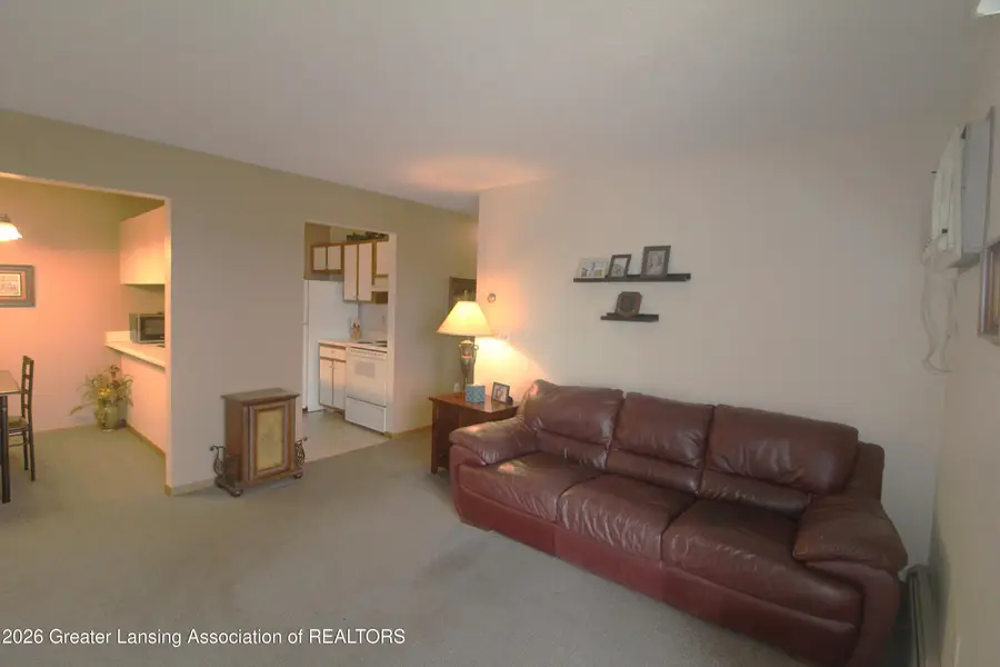 1151 Sunview Drive, Saint Johns, MI 48879 - #3