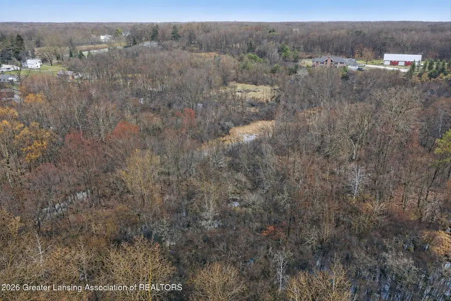 0 Meridian Road, Williamston, MI 48895 - #3