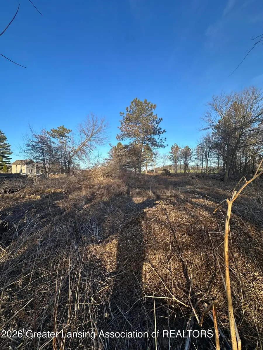 0 Holt Road, Mason, MI 48854 - #3
