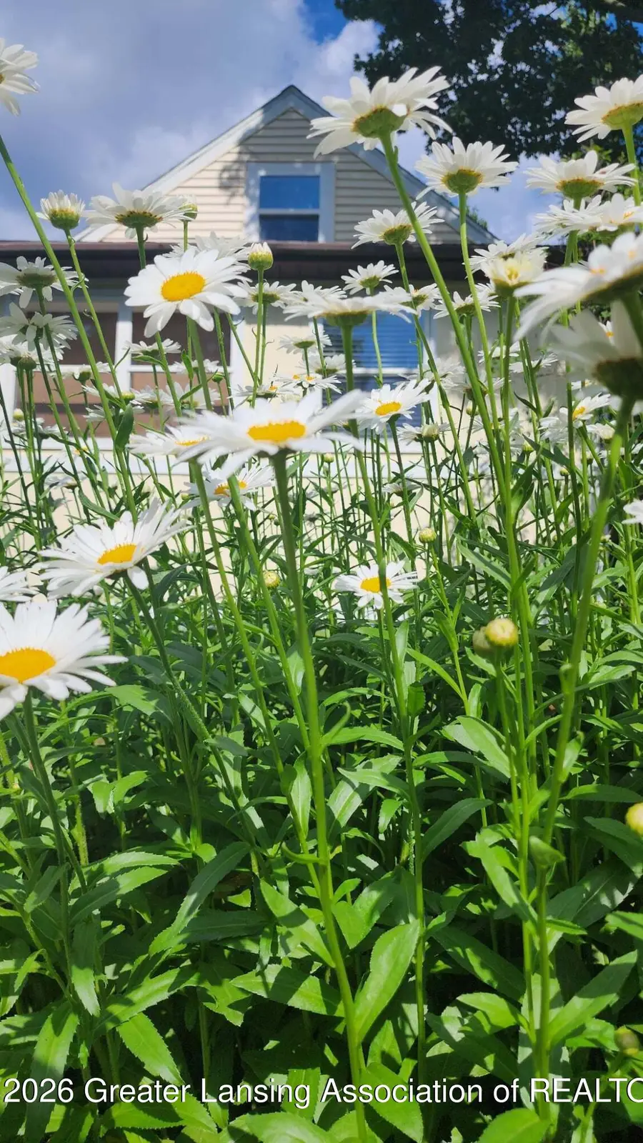 1407 Park Avenue, Lansing, MI 48910 - #2