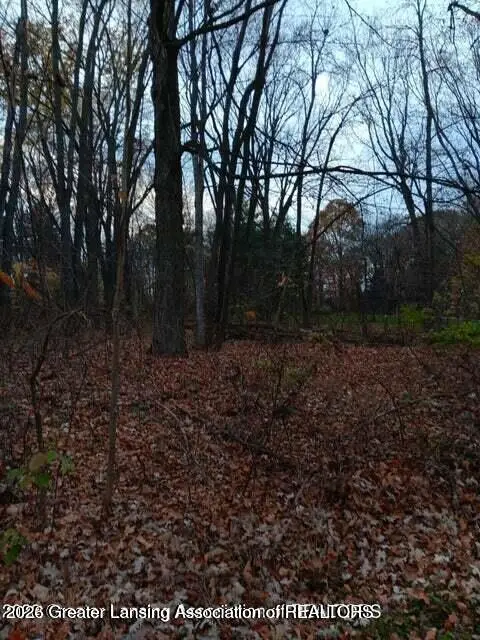 0 Beechwood Dr, Williamston, MI 48895