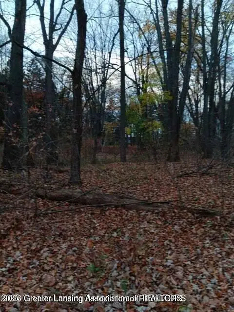 0 Beechwood Dr, Williamston, MI 48895 - #2