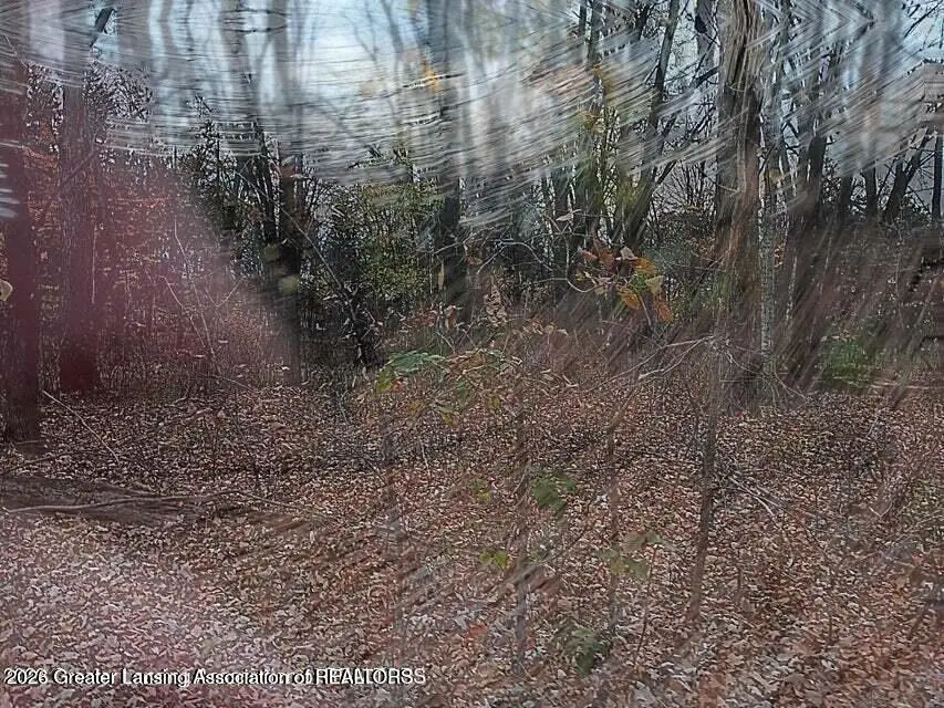 0 Beechwood Dr, Williamston, MI 48895 - #3