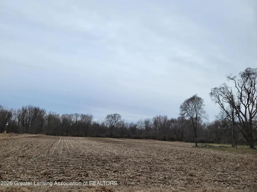 00 E M-21, Ovid, MI 48866 - #3