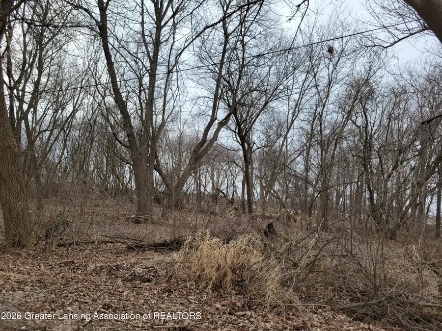 0000 E M21, Ovid, MI 48866 - #2