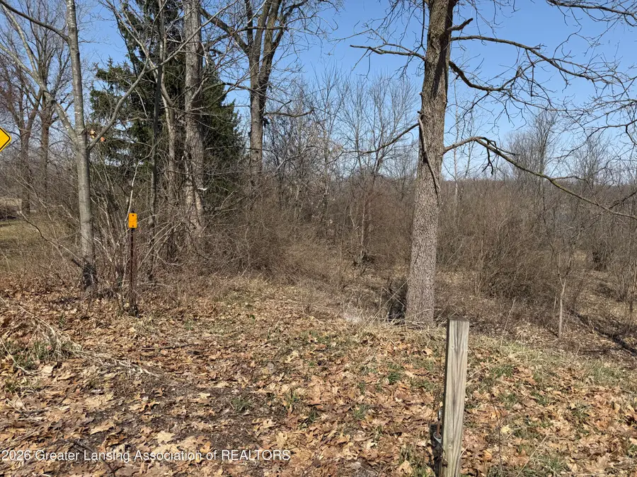 0 Peninsula Way, Laingsburg, MI 48848 - #2