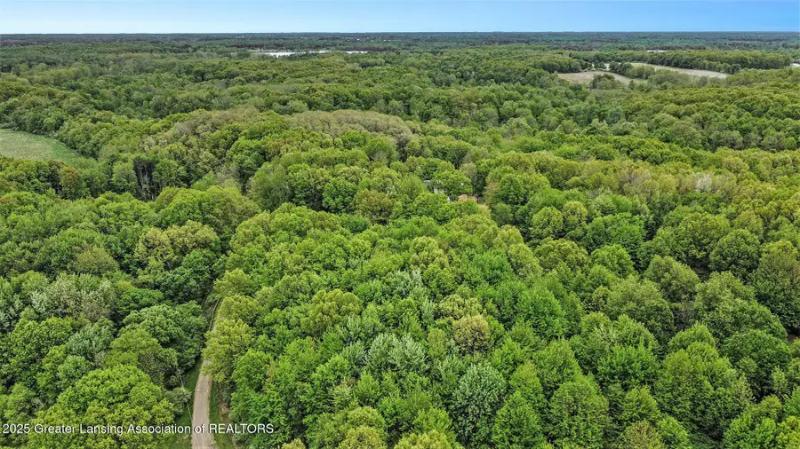 5025 S Saint Clair Road, Saint Johns, MI 48879 - #3