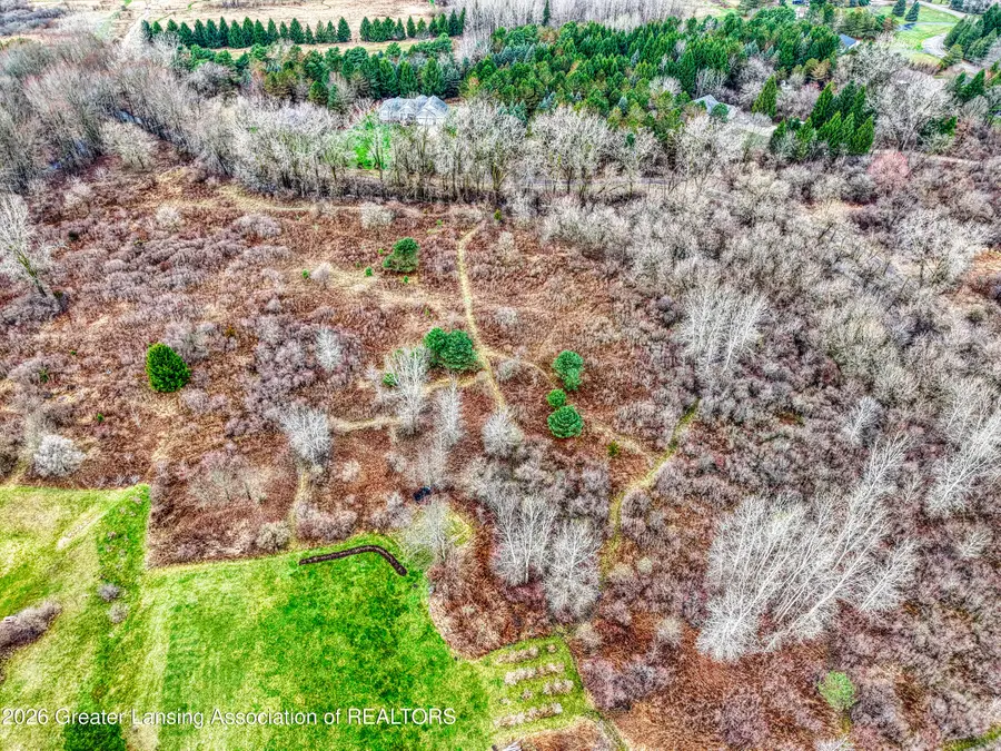 V/l Meridian Road, Williamston, MI 48895 - #2