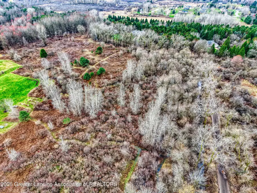 V/l Meridian Road, Williamston, MI 48895 - #3