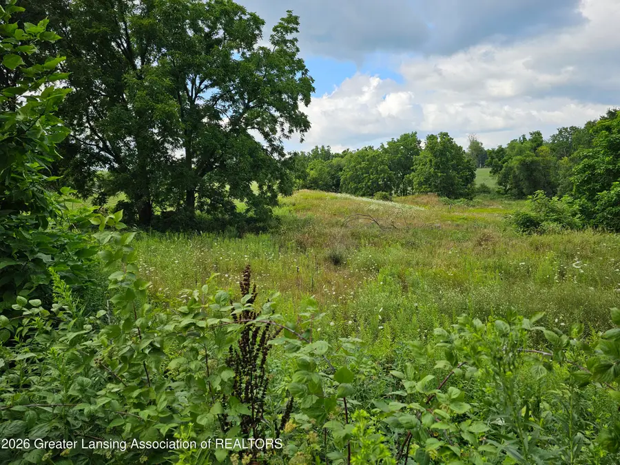 8475 Ross Road, Muir, MI 48860 - #2