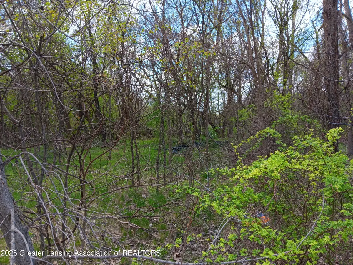 343 Dolores Drive, Pleasant Lake, MI 49272 - #1