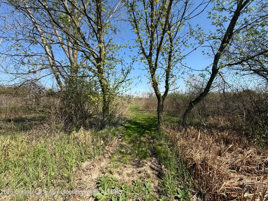 0 W St. Joe Highway, Mulliken, MI 48861 - #3
