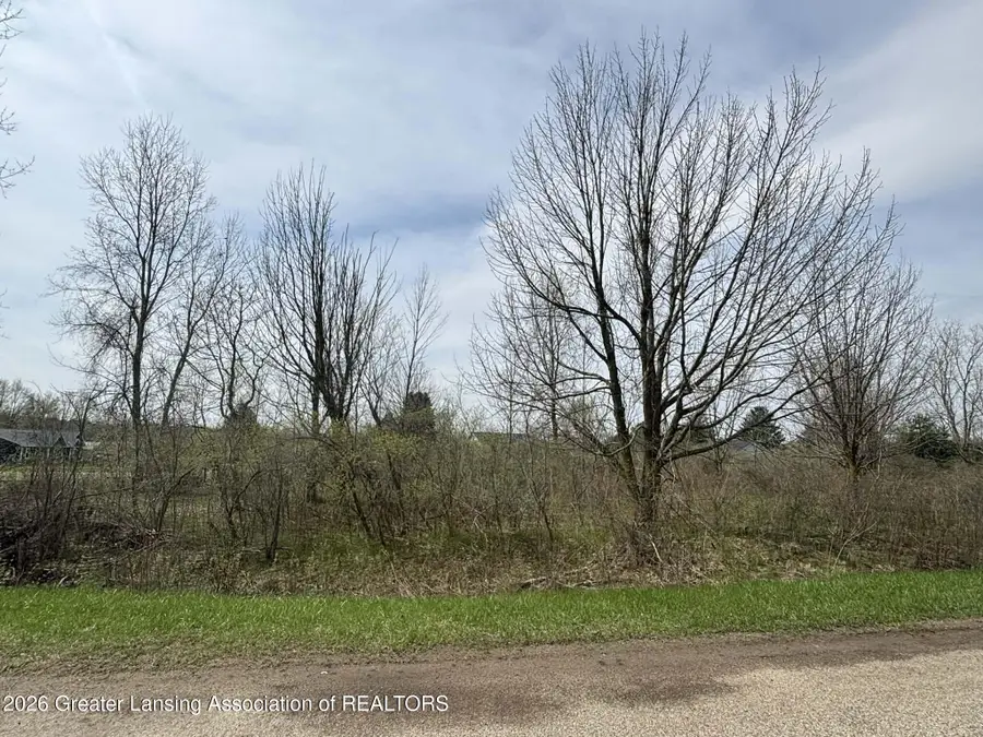 V/l Short Court/lakeside Dr, Perrinton, MI 48871 - #2