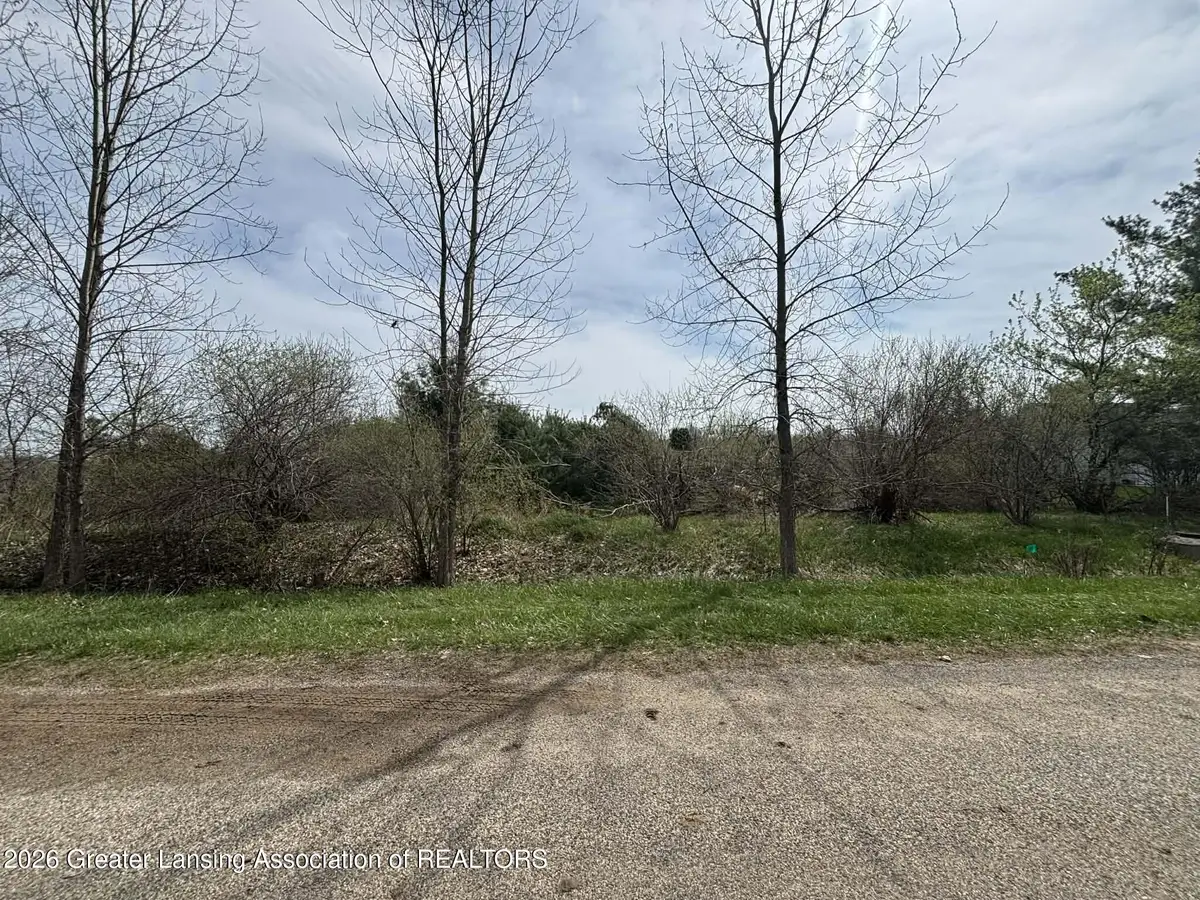 V/l Butler, Perrinton, MI 48871 - #1