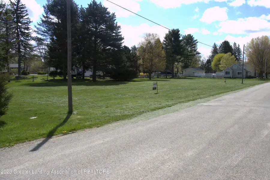 817 Hammont Street, Owosso, MI 48867 - #3