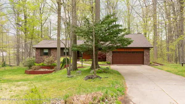 6520 W Galway Circle, Dimondale, MI 48821