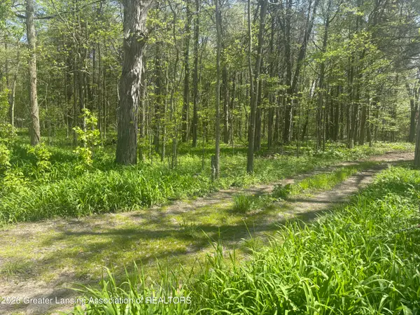 0 Chinook Lane, Lyons, MI 48851