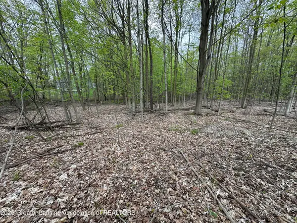 0 Thornapple Drive, Perrinton, MI 48871