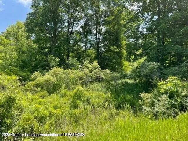 0 Woodbury Road, Laingsburg, MI 48848 - #1
