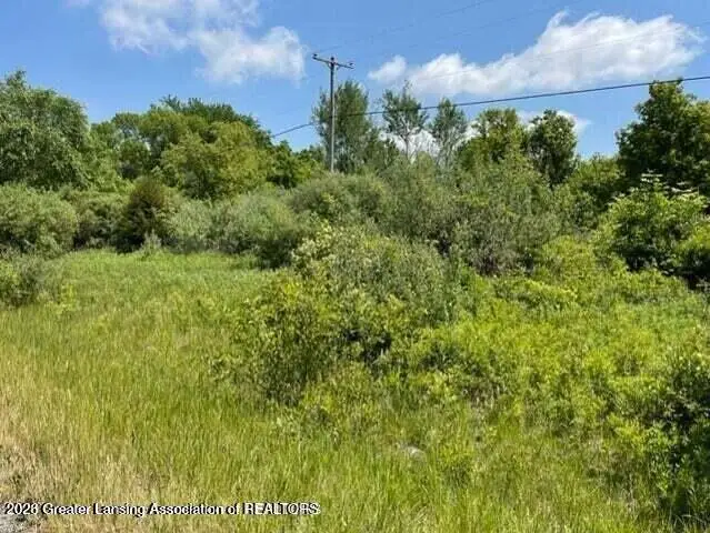 0 Woodbury Road, Laingsburg, MI 48848 - #2