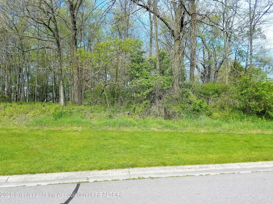 302 Blossom Drive, Portland, MI 48875 - #2