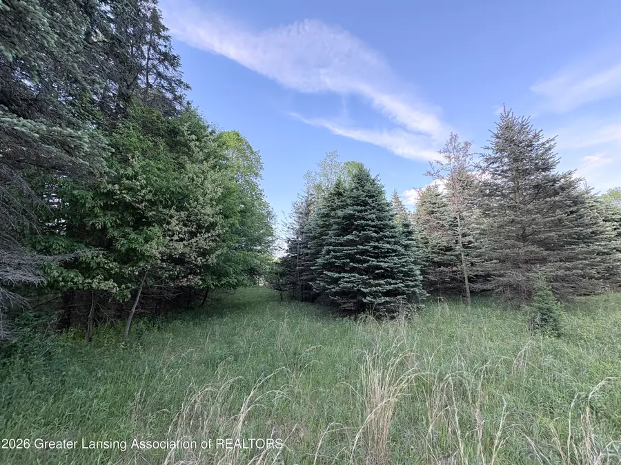 0 E Riverside Drive, Ionia, MI 48846 - #3
