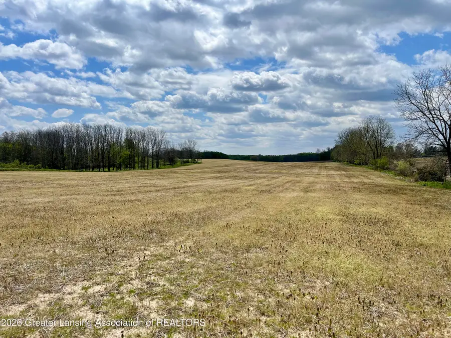 0 W Spicerville Highway, Charlotte, MI 48813 - #3