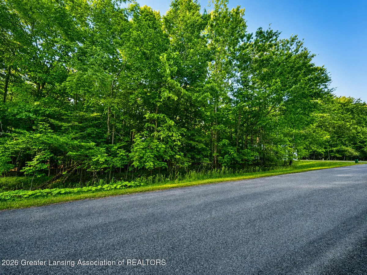 V/l Lot 133 Hardwood, Perrinton, MI 48871 - #1