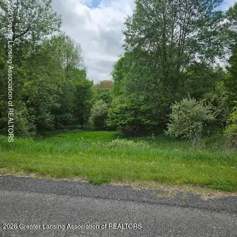 0 Woodlawn Court, Perrinton, MI 48871