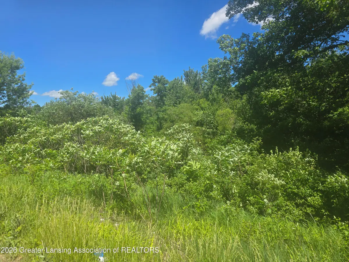 0 S Canal Street, Eaton Rapids, MI 48827 - #1