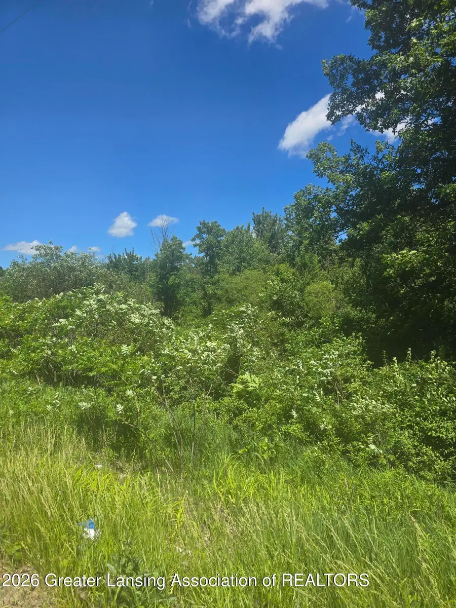 0 S Canal Street, Eaton Rapids, MI 48827 - #3