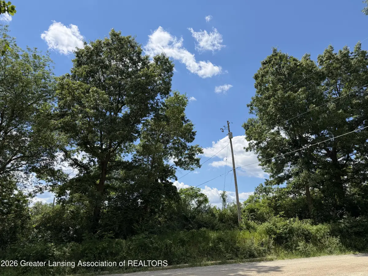 17019 Bass Lake Avenue, Gowen, MI 49326 - #1