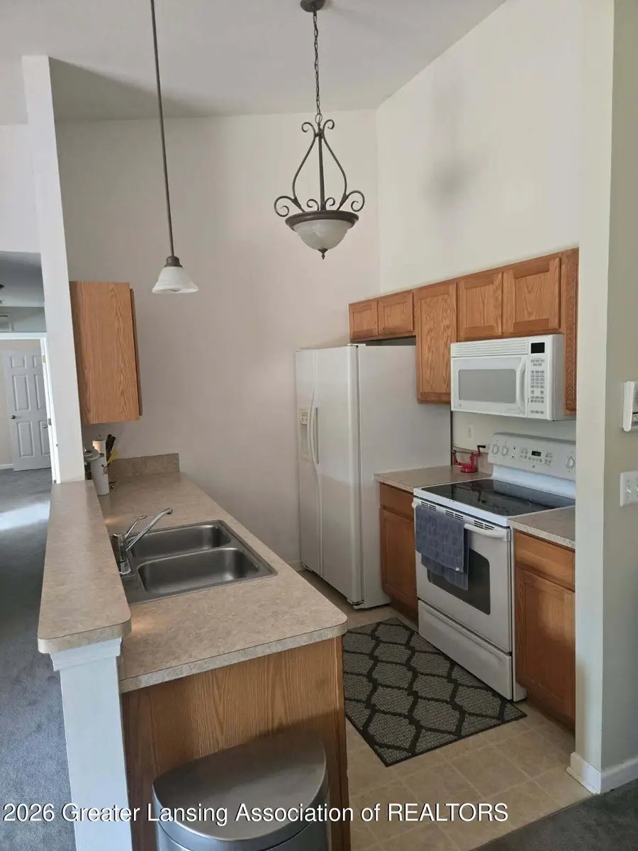 1429 Duncan Drive, Chelsea, MI 48118 - #3