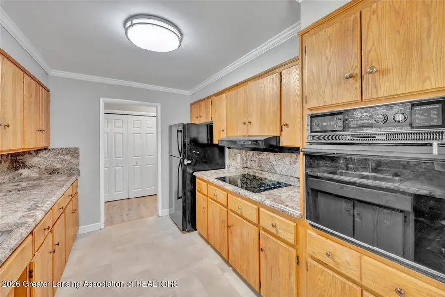 645 Park Street, Ionia, MI 48846 - #3