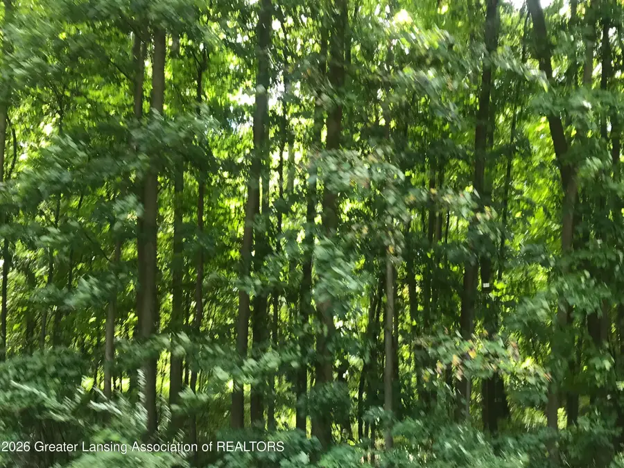 V/l #10 Brookshire Drive, Chesaning, MI 48616 - #2