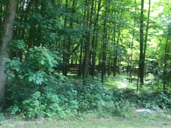 V/l #11 Brookshire Drive, Chesaning, MI 48616