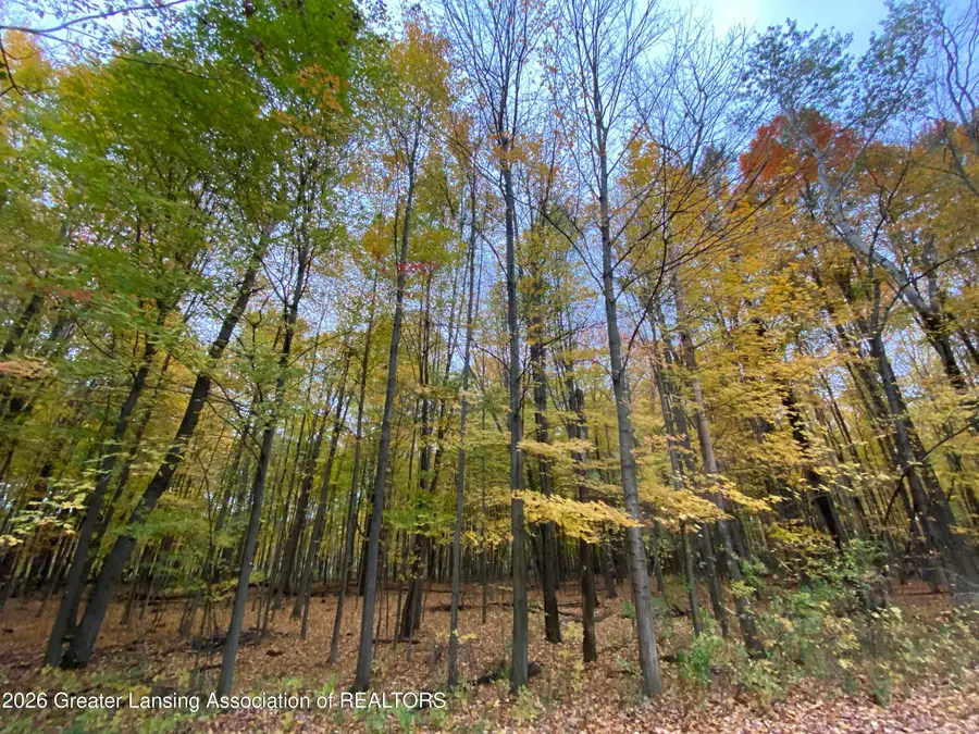 V/l #11 Brookshire Drive, Chesaning, MI 48616 - #2